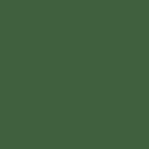 BASE COAT - BMW - CODE C4E - SANREMO GREEN PEARL