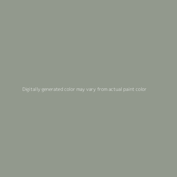 MEDIUM SPIRAL GRAY METALLIC - CHEVROLET - CODE 88/WA812K - BASECOAT