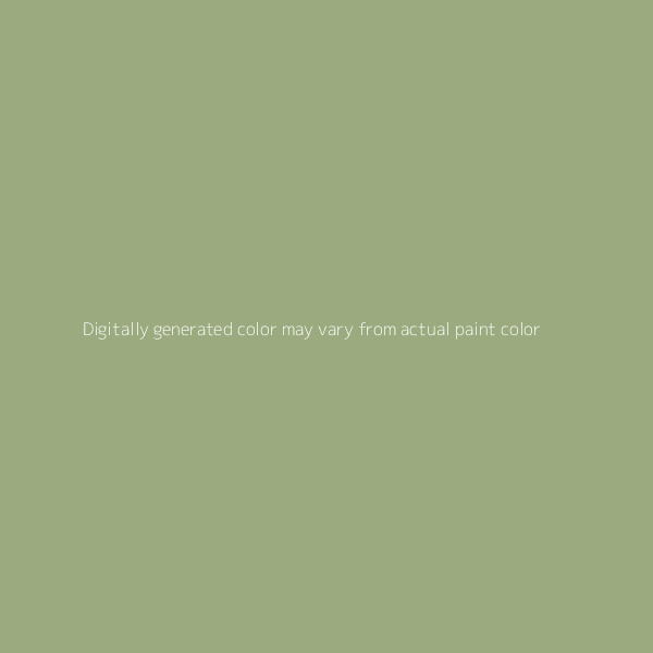 MOSS GREEN METALLIC - HYUNDAI - CODE ZG - BASECOAT