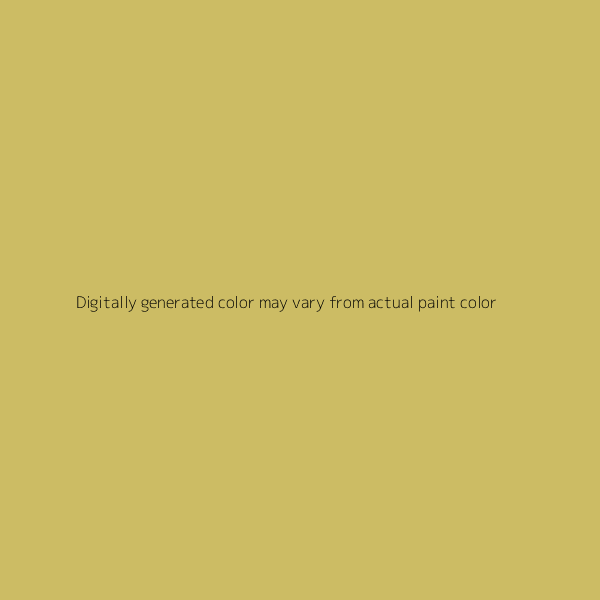 GONDWANA STONE - LAND-ROVER - CODE 2435 - BASECOAT