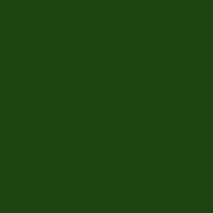 BASE COAT - GM BRANDS - CODE 9V5 / WA9015 / WA7156 - DARK GREEN