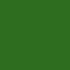 BASE COAT - GM BRANDS - CODE WA449C / G8U - GREEN