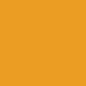 BASE COAT - KIA - CODE N20 - ORANGE