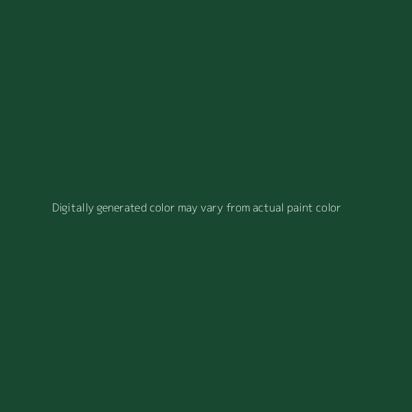 CHARCOAL GREEN METALLIC  - LINCOLN - CODE FT/M6861 - BASECOAT