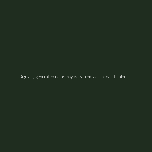ROBUST EMERALD PEARL - HYUNDAI - CODE R8N - BASECOAT – Perpetual Paint ...