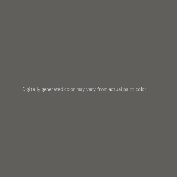 NEUTRAL DARK GRAY (CLADDING) - DODGE - CODE HS5 - BASECOAT