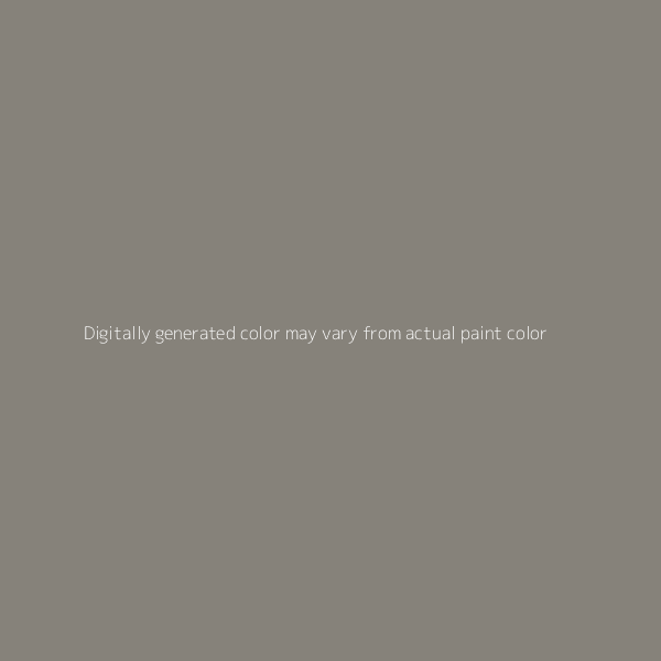 WILLOW GRAY METALLIC  - HYUNDAI - CODE DS_ - BASECOAT